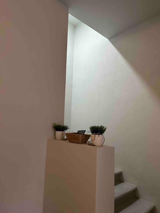 Casa Privada En Villa Bricia 쿠에르나바카 외부 사진